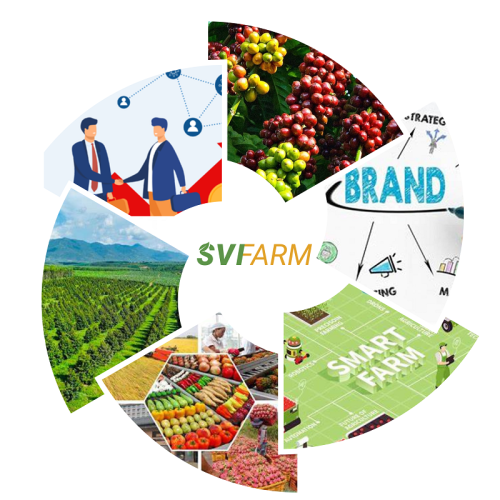 Svifarm - Kết Nối Giá Trị, Phát Triển Nông Nghiệp Bền Vững